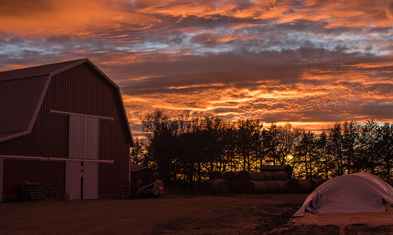 Dairy Producer Financing
