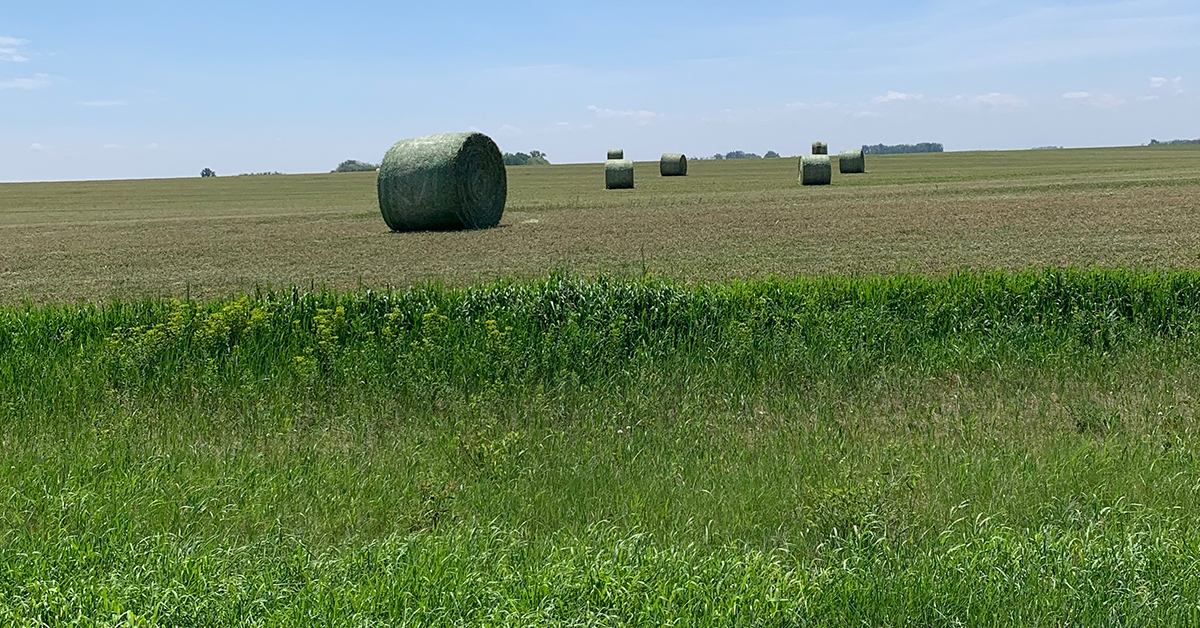 Ag Advisory Board spotlight: Darren Hefty