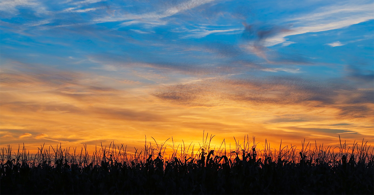 Changes on the horizon this harvest season