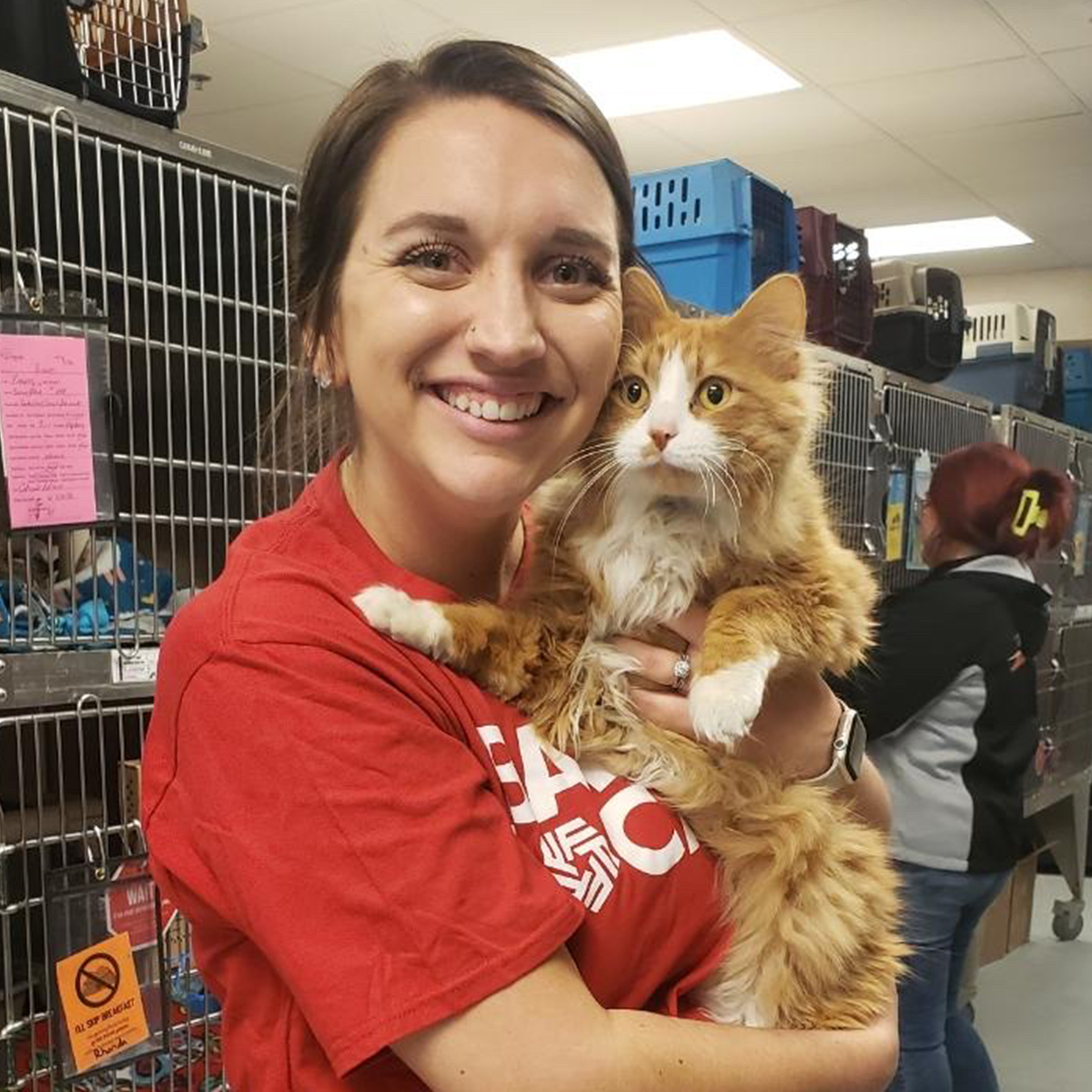 A First National Bank employee holding a cat at the Sioux Falls Area Humane Society.