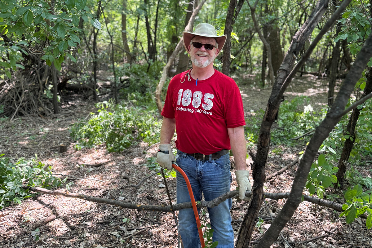 A volunteer sawing buckthorn trees.