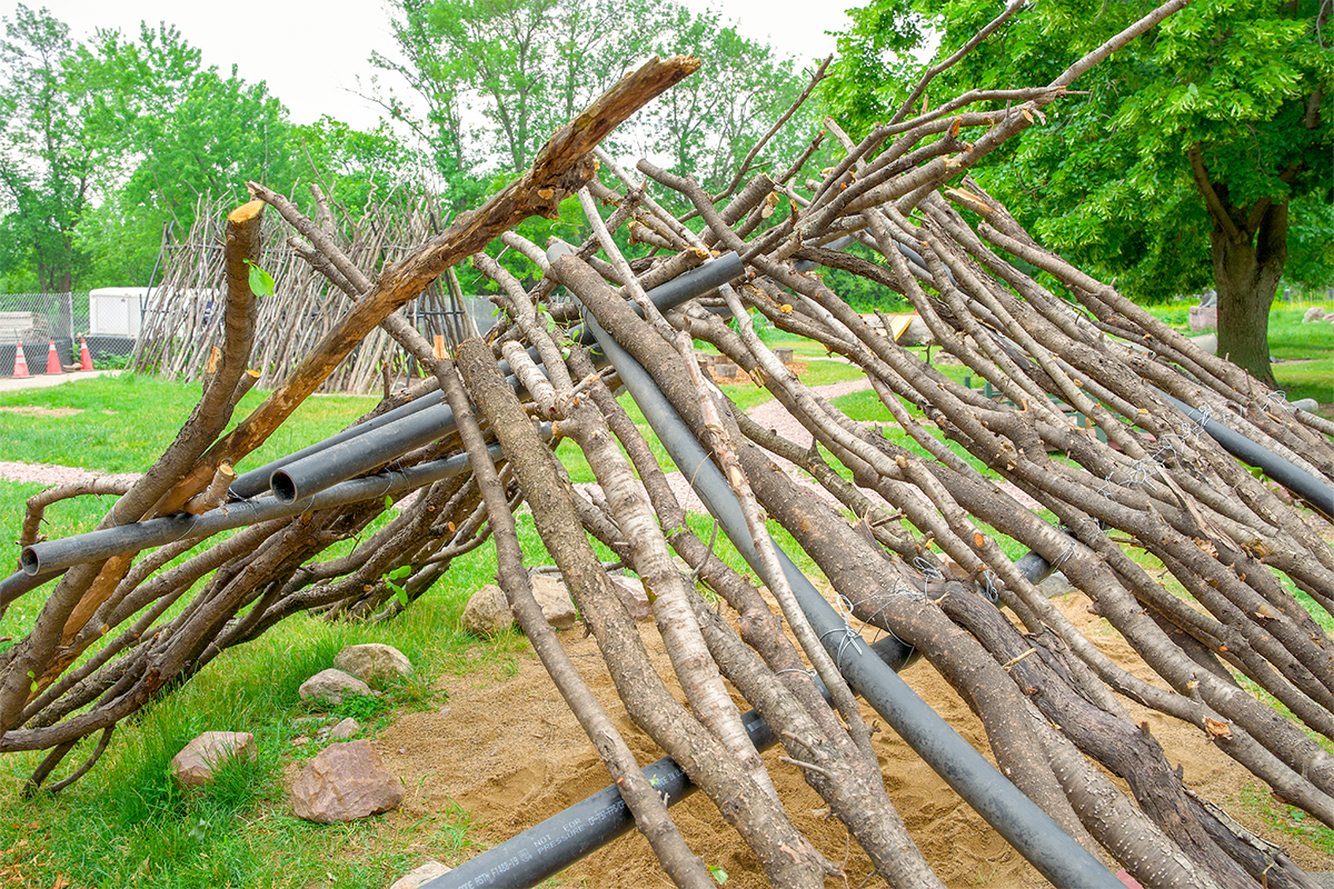 A shade tunnel made of buckthorn trees at The Outdoor Campus in Sioux Falls.
