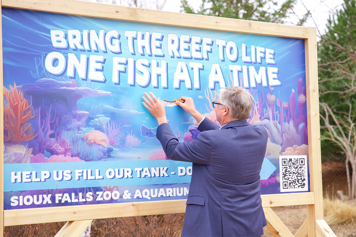 "Bring the reef to life one fish at a time."