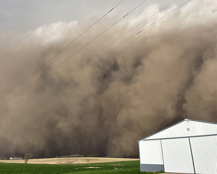 Do I Need Crop Insurance?